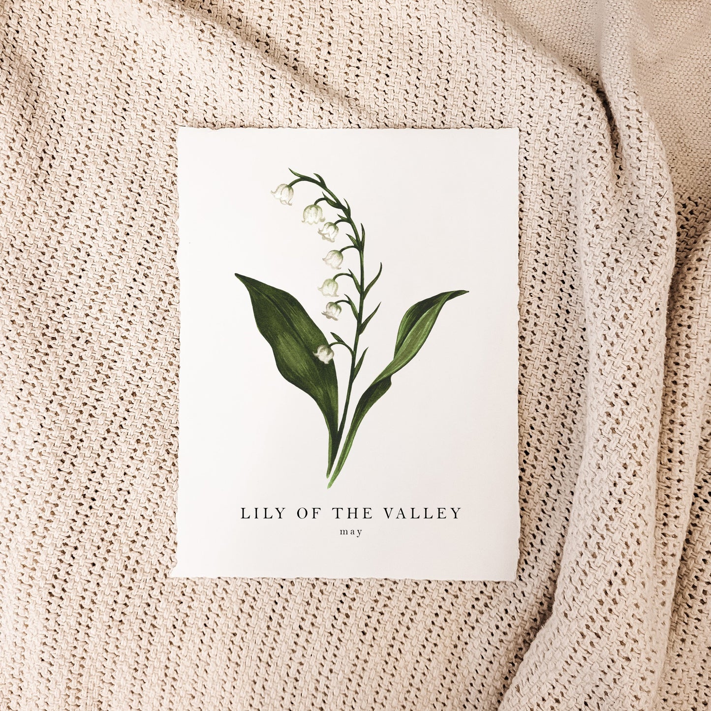 May - Lily of the Valley