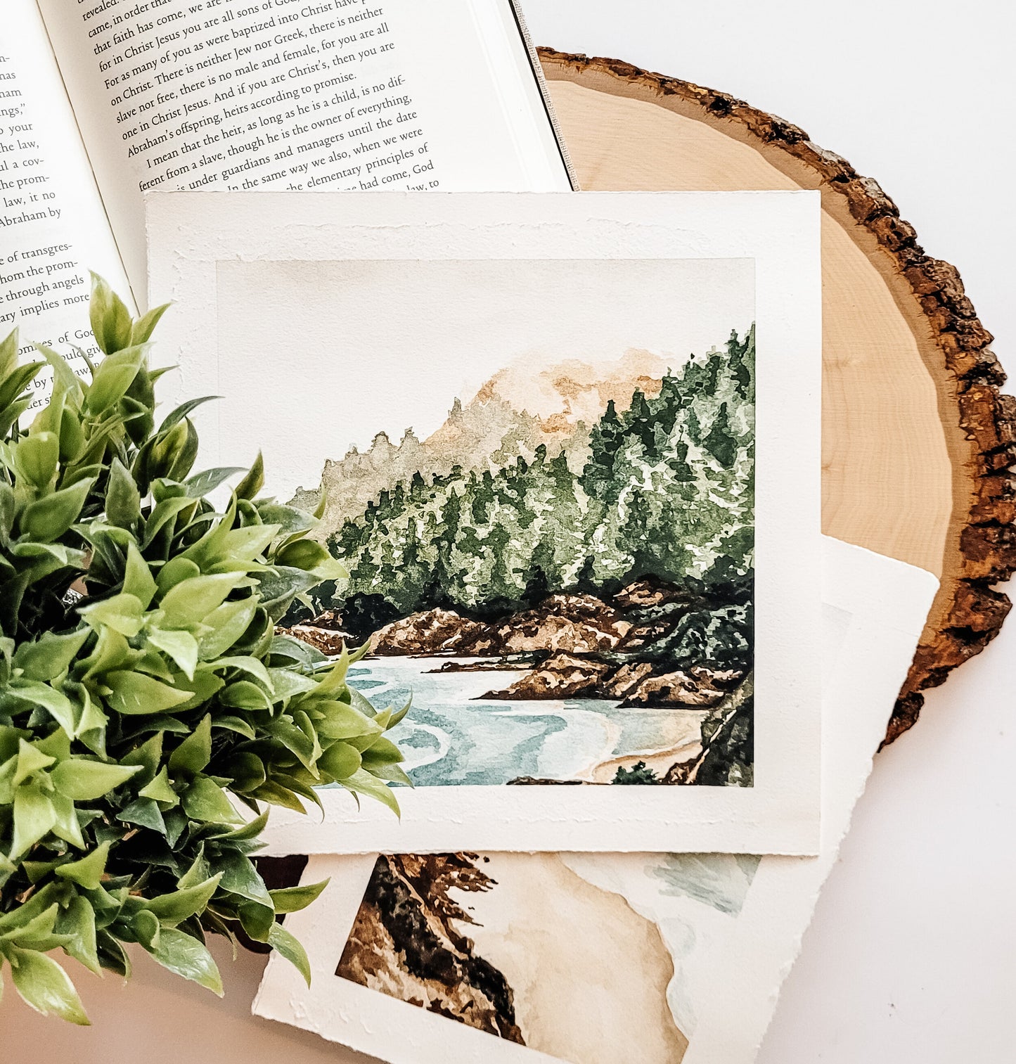 Foggy Views Original