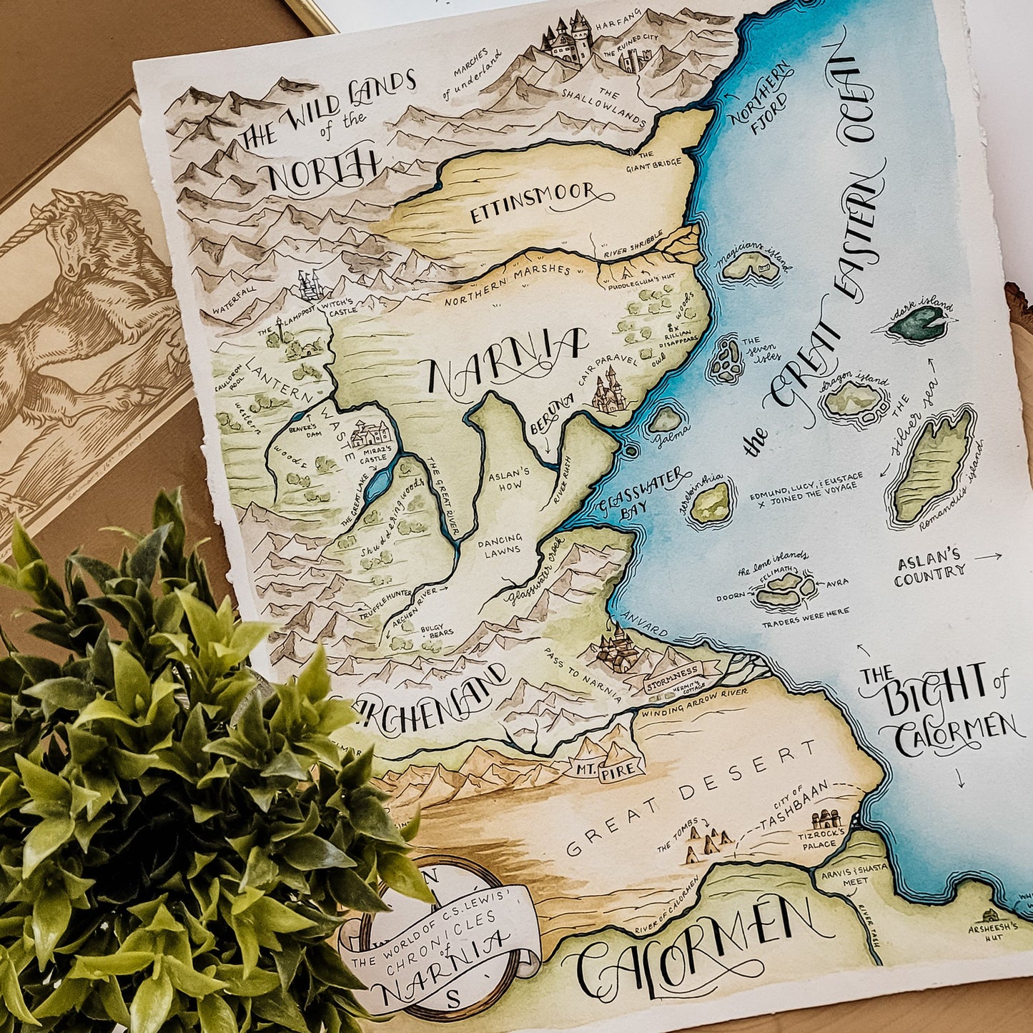 Book Nerd | Large Bundle | Narnia Map