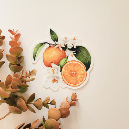 Oranges | Sticker