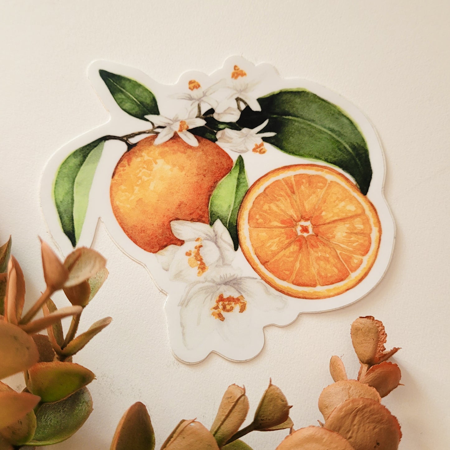 Oranges | Sticker
