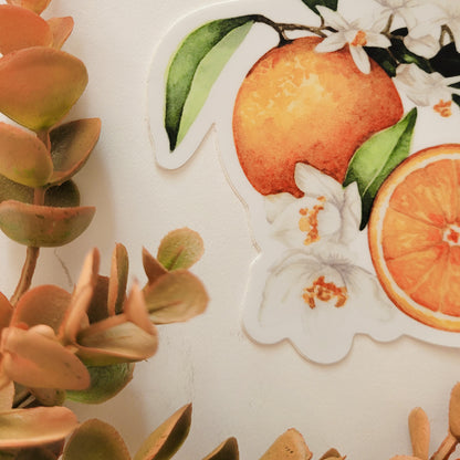 Oranges | Sticker