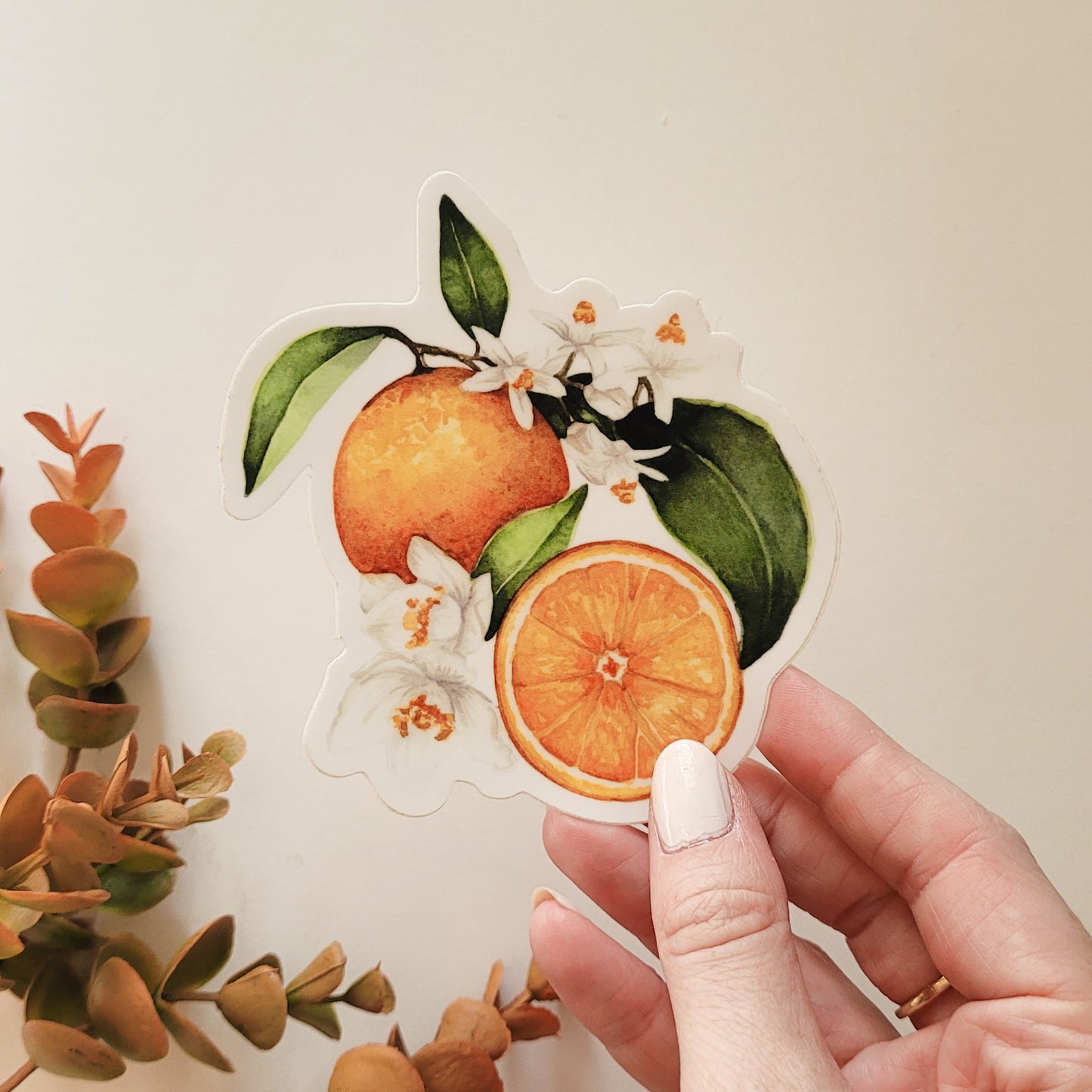 Oranges | Sticker