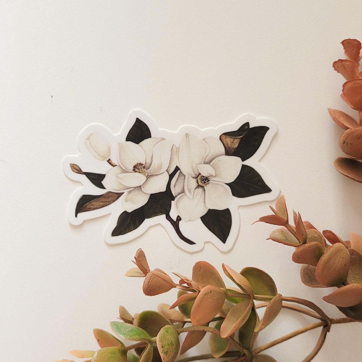 Magnolias | Sticker