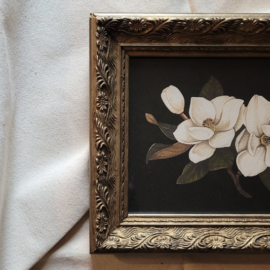 "Dark Magnolias" Framed Print
