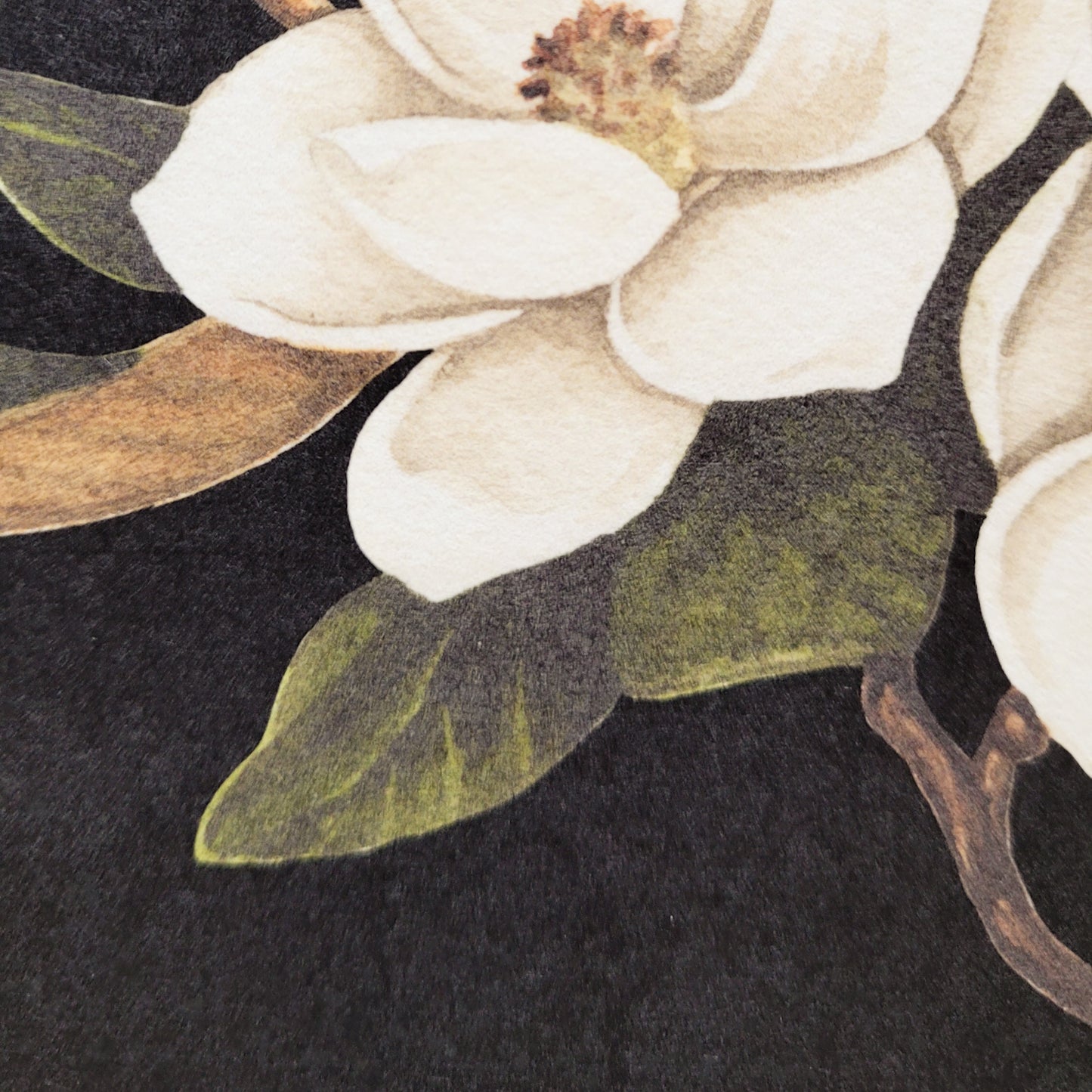 Dark Magnolias