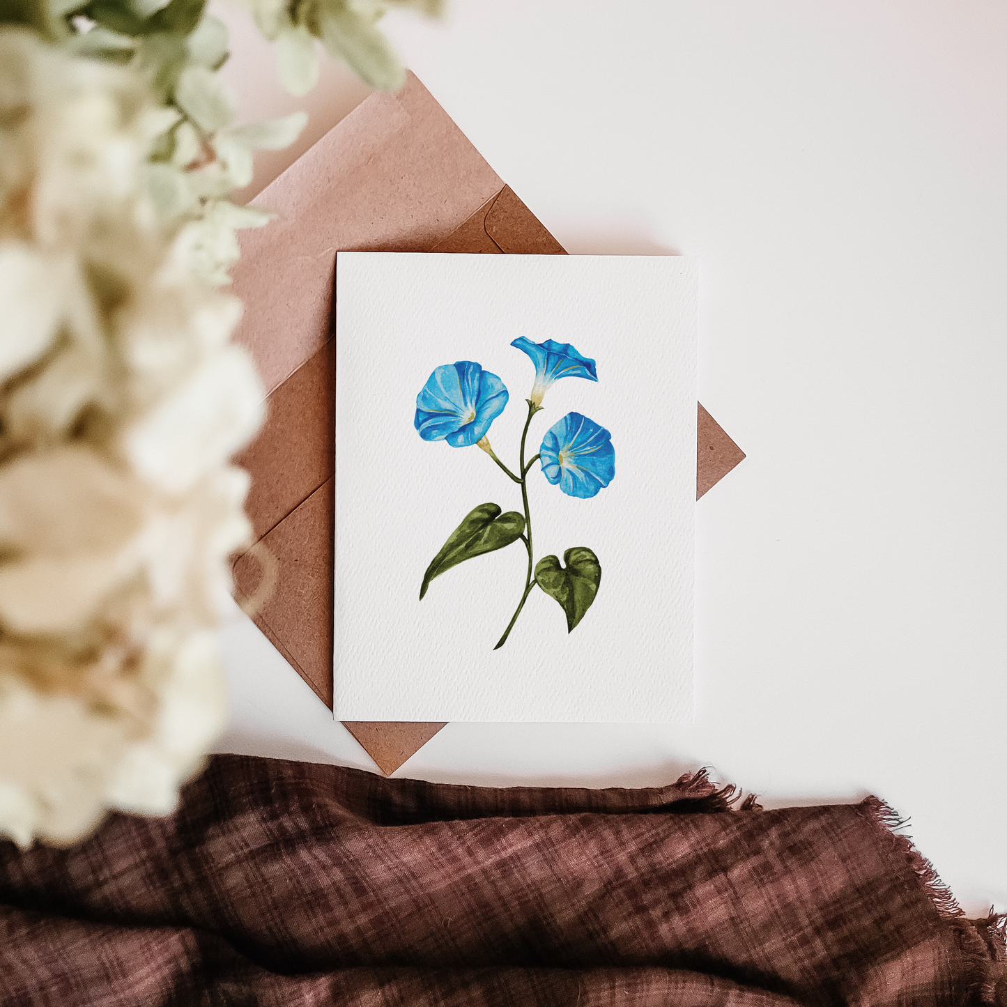 Morning Glory Card