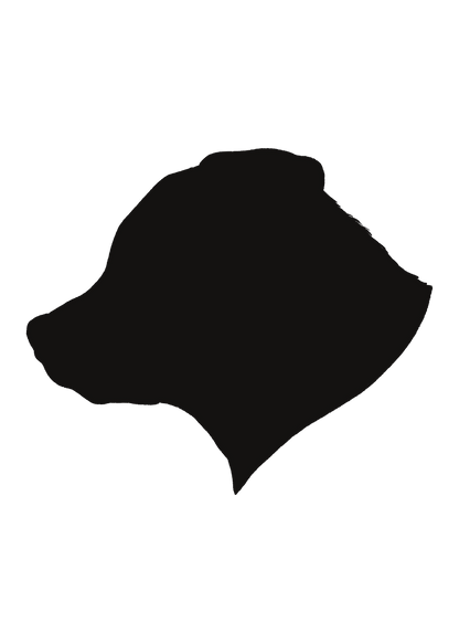 Hand-Drawn Silhouette