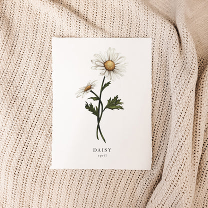 April - Daisy