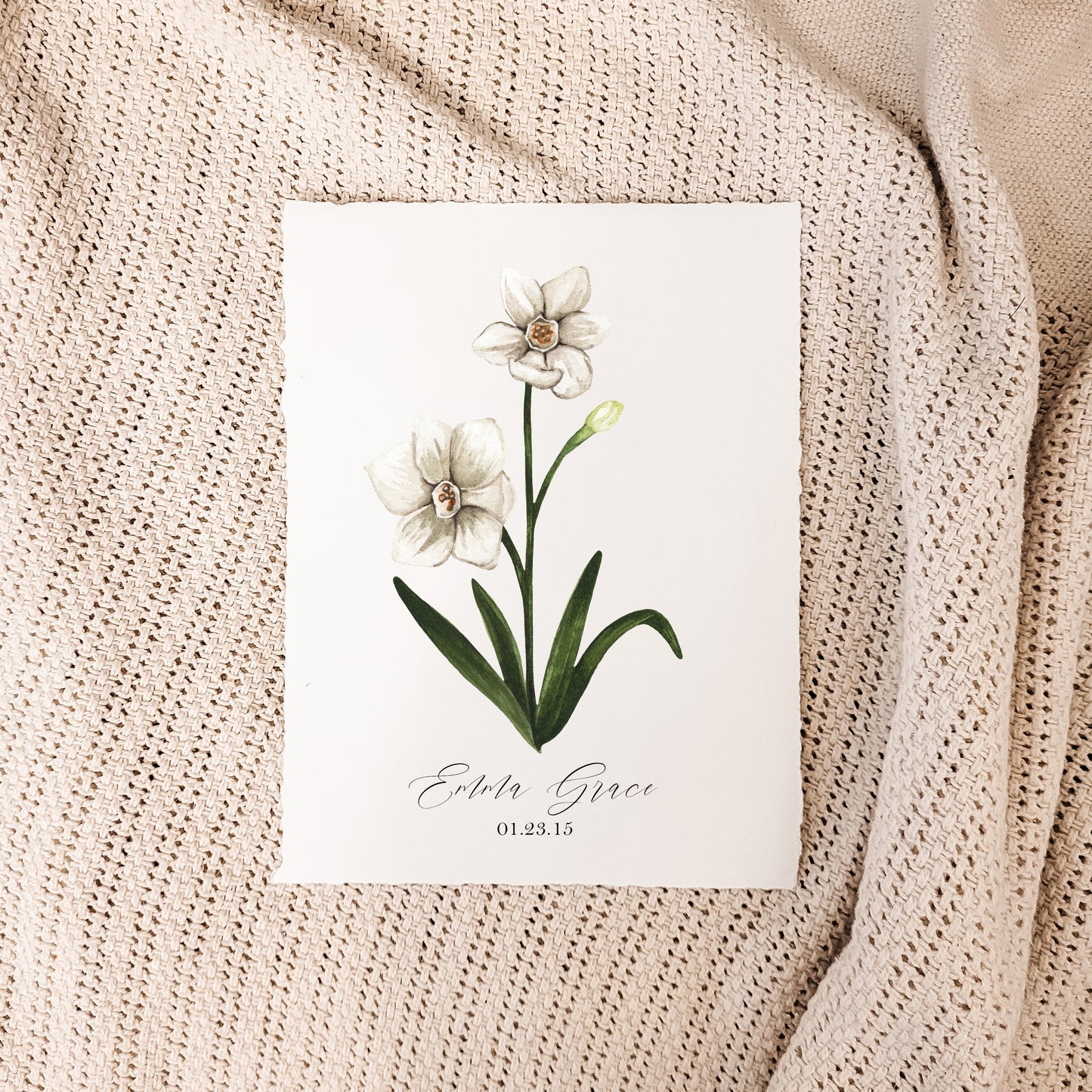 December - Paperwhite Narcissus
