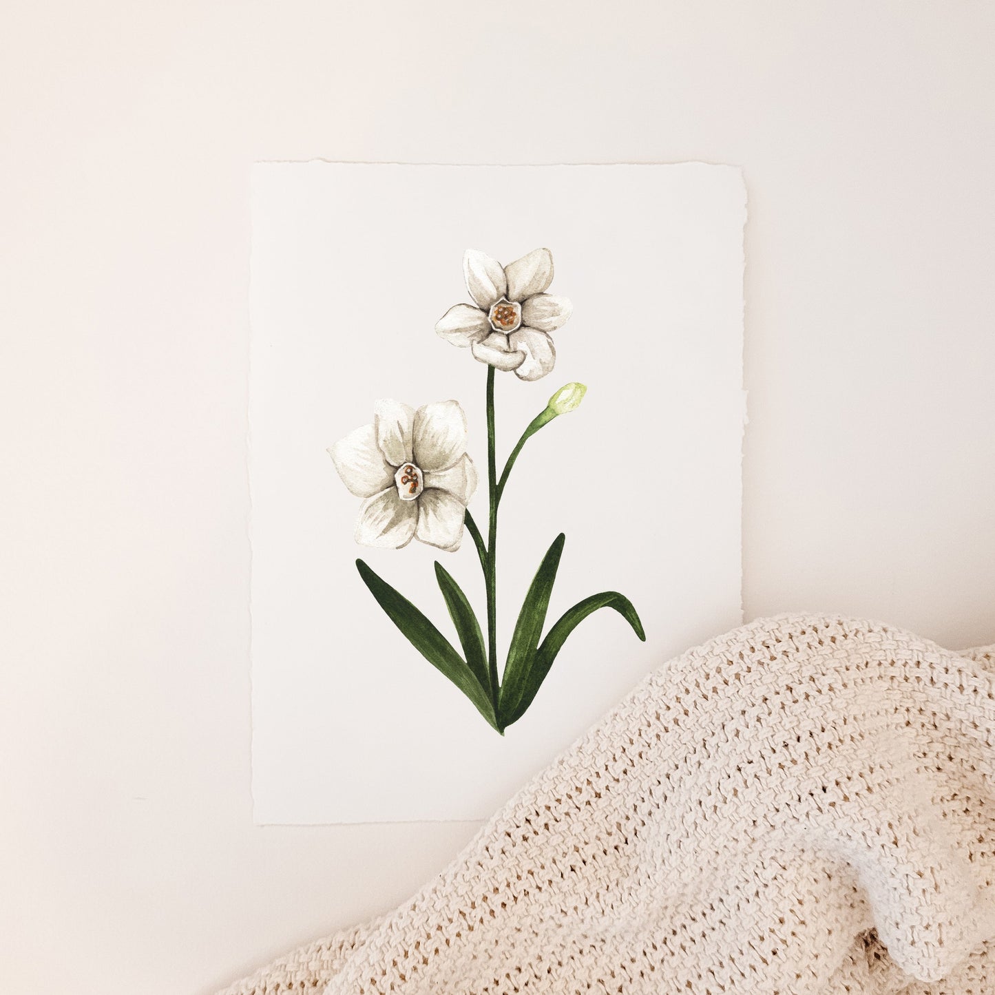 December - Paperwhite Narcissus