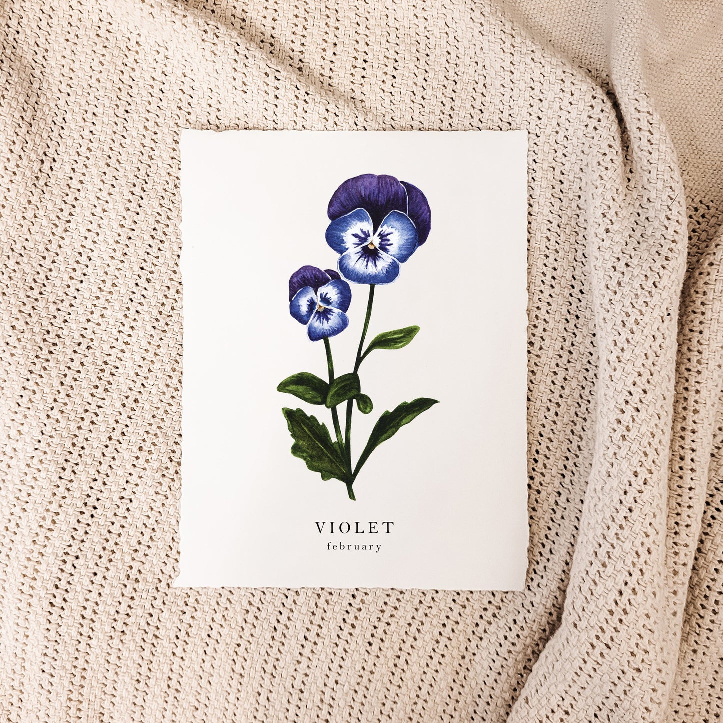 February - Violet