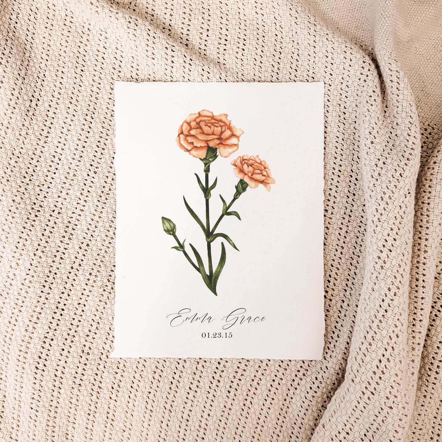 January - Carnation