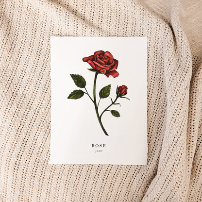 June - Rose