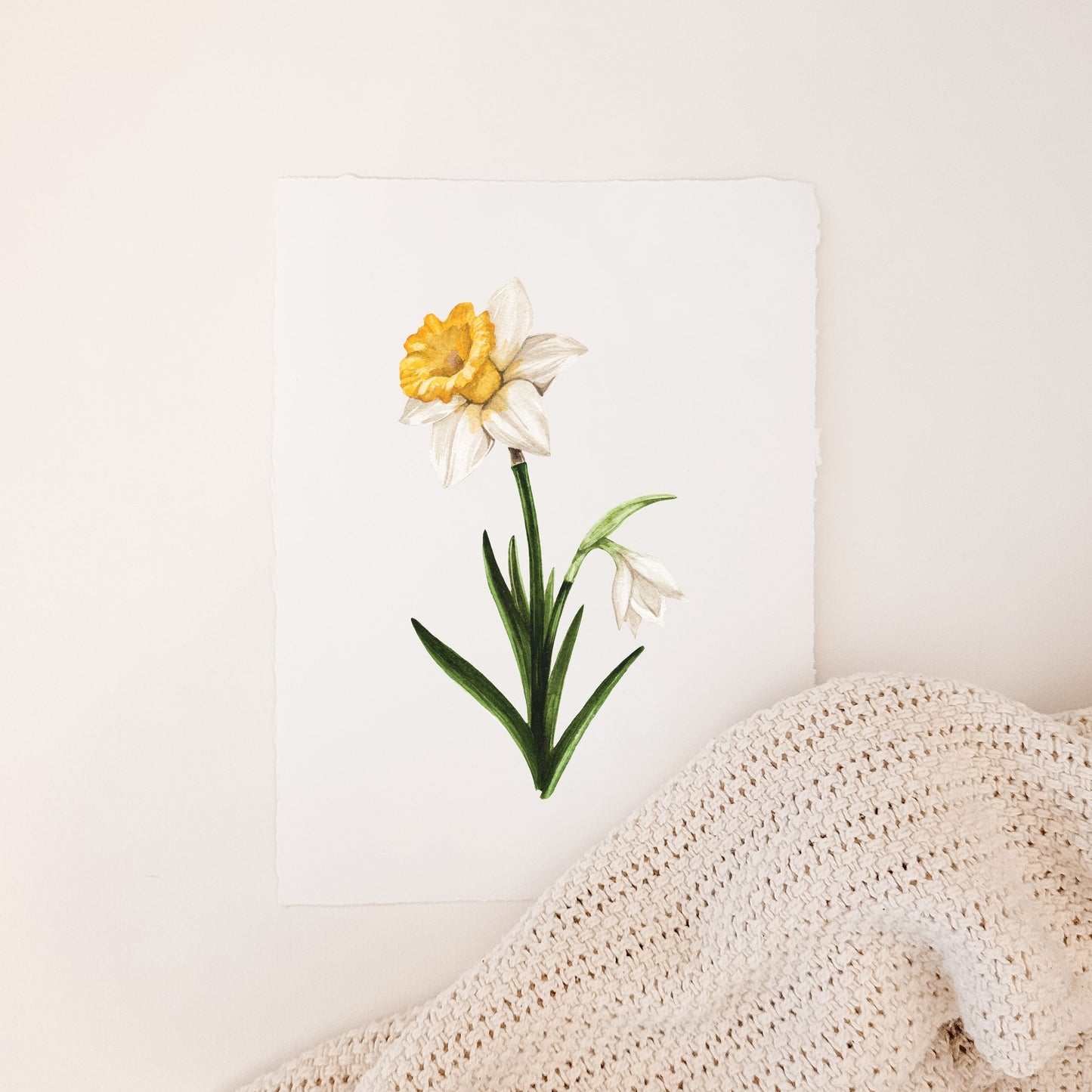 March - Daffodil