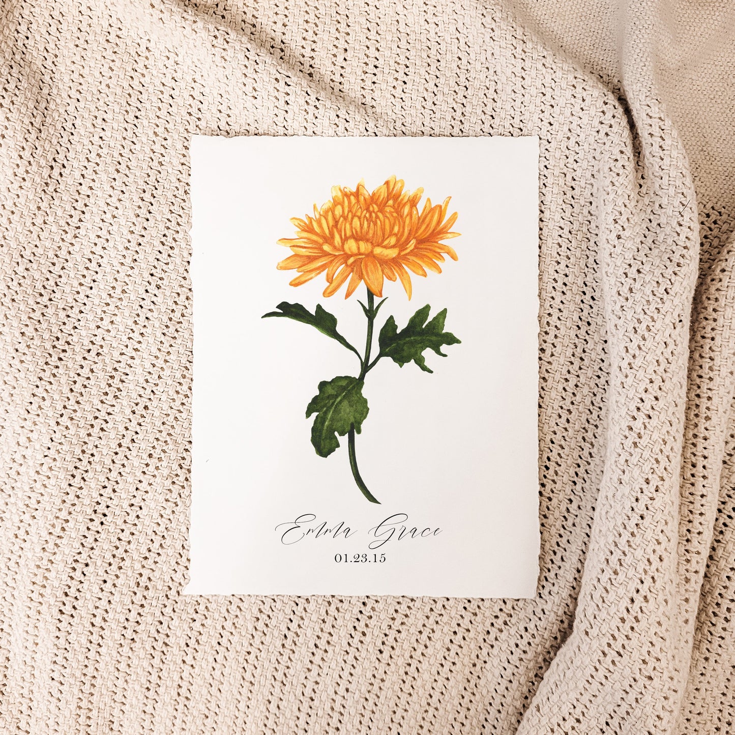 November - Chrysanthemum