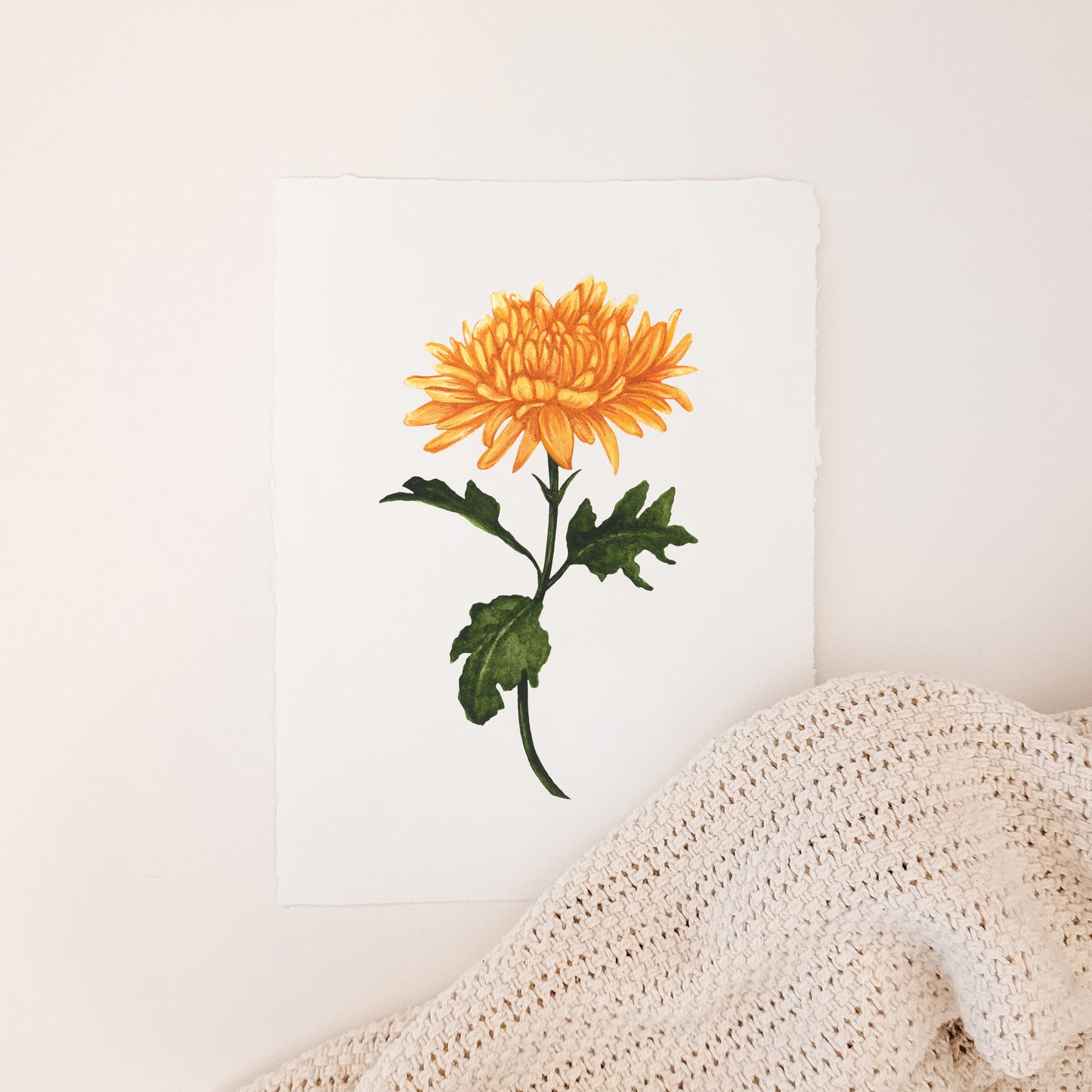 November - Chrysanthemum