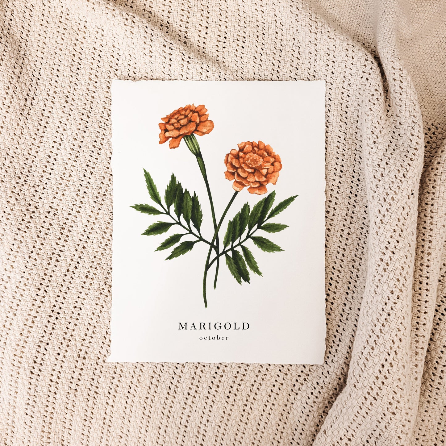 October - Marigold