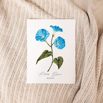 September - Morning Glory