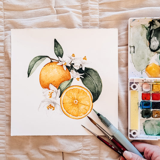 Florida Oranges